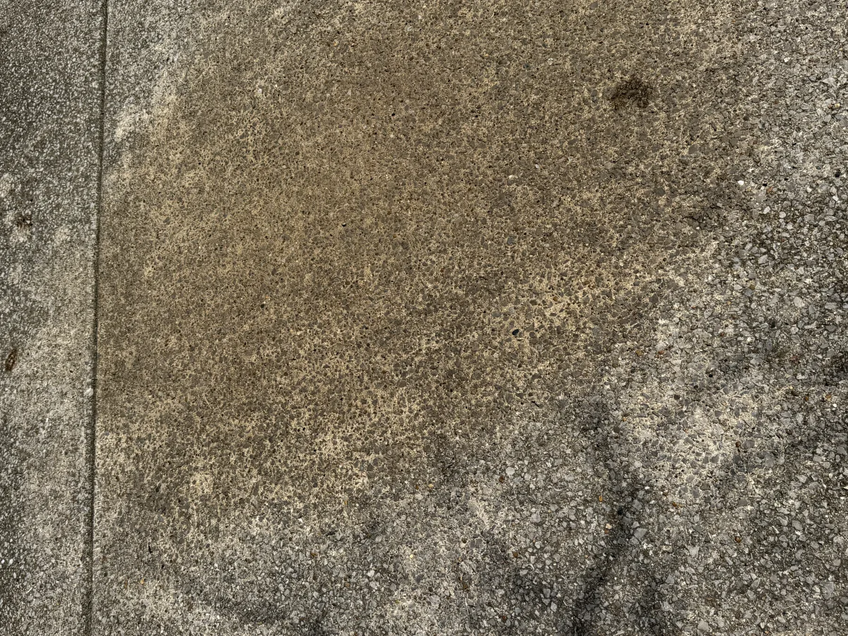 Driveway concrete before cleaning with visible organic staining.
